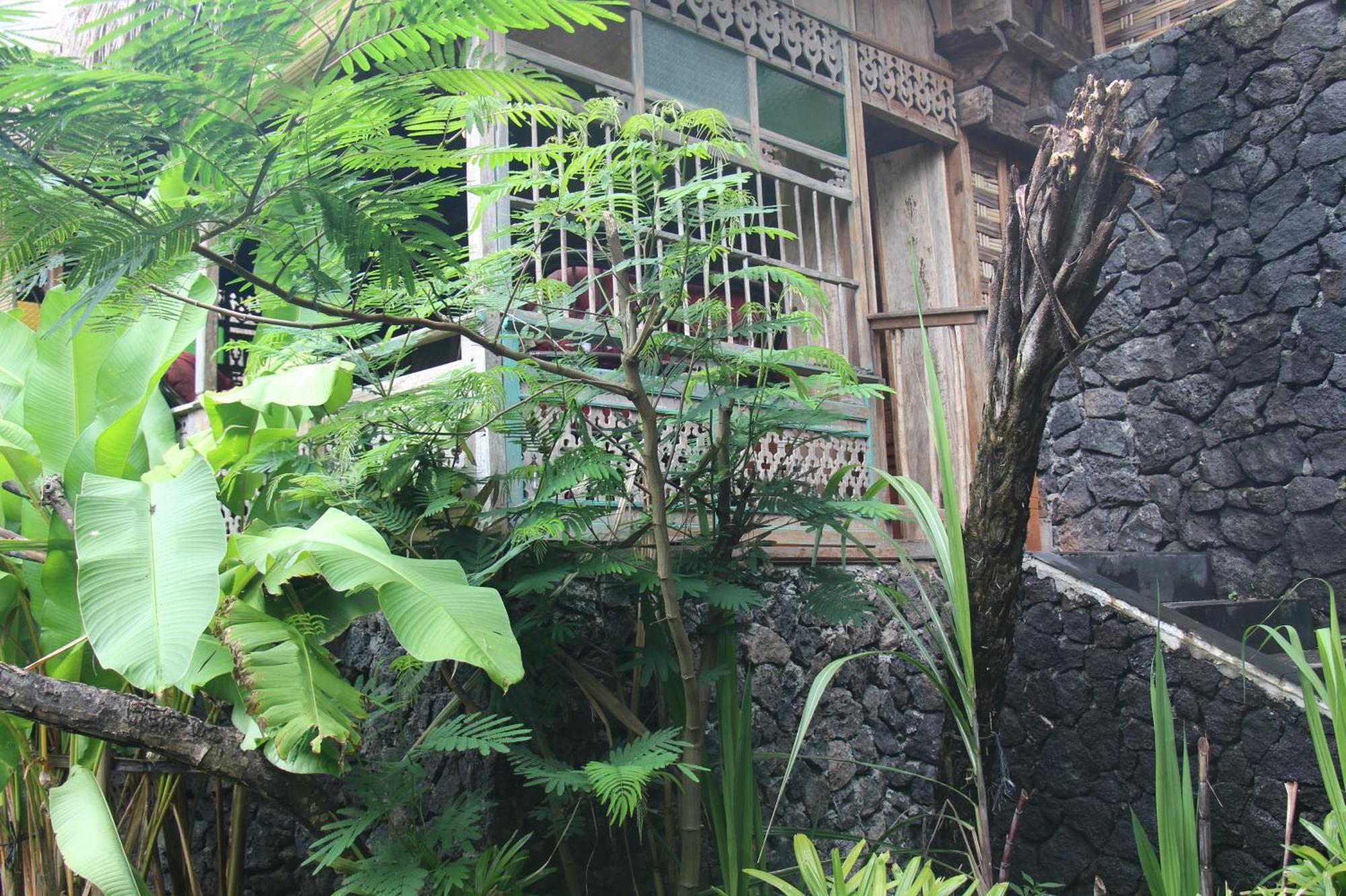 Geopark Village Kintamani エクステリア 写真